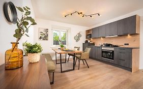 Seelos - Alpine Easy Flats